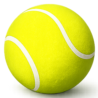 Logo Fanta Tennis
